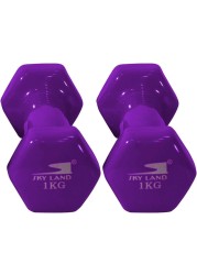 Sky Land Vinyl Dumbbell Classical Head 1 Kgx2 Purple