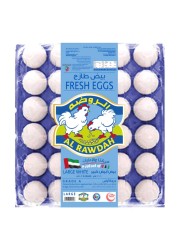 الروضة بيض أبيض طازج كبير 30 بيضة