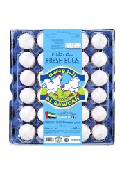 الروضة بيض أبيض طازج متوسط الحجم، 30 قطعة