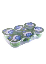 Al Rawabi Full Fat Plain Yoghurt 90g Pack of 6