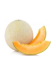 البطيخ الصخري