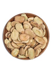 Los Pinos Jumbo Broad Beans