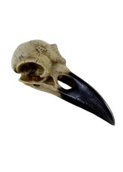 Alchemy Corvus Alchemica Raven Skull