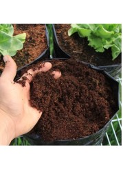 Loose 10 L Cocopeat For Indoor And Outdoor Plants High Quality Medium Growing Coco Peat Made In UAE 3Kg