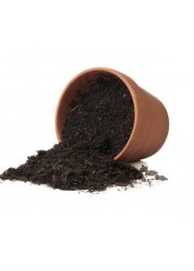 vsell24&nbsp;5L Bio Loose Cocopeat For Indoor And Outdoor Plants High Quality Medium Growing Coco Peat Made In UAE