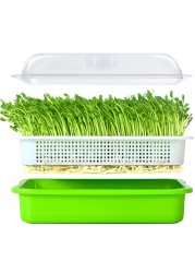LeJoy Garden Seed Sprouter Tray BPA Free PP Soil-Free Big Capacity Healthy Wheatgrass Grower with Lid Sprouting Kit 13.4x9.84x4.72 inches