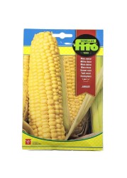 Fito Sweet Corn Jubilee (10 g)