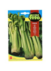 Fito Celery Pascal