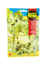 Fito Lettuce Great Lakes Juli