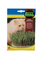 Fito Cat Grass