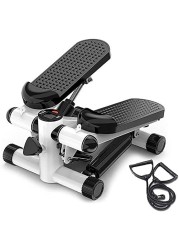 Mini Stepper Abs Toner Workout