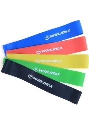 مجموعة أحزمة اللياقة البدنية Winmax - أحزمة مقاومة ممتازة بمقابض ومرساة باب وحقيبة حمل، و5 مستويات توتر قابلة للتعديل لصالة الألعاب الرياضية المنزلية وتمارين الجسم بالكامل