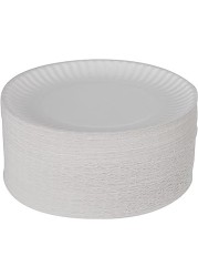 Vsell24 100Pack 9 Inch Disposable Round Foam Plates For Tableware Birthday Parties Office Home Events Camping
