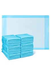 Medline Light Absorbency Underpad, 17&quot; x 24&quot;, 100 Count, Disposable Chucks, Bed, Furniture &amp; Surface Protection, For Kids, Adults, Elderly, Puppy Pad, Changing Pad, Incontinence Pee Pad