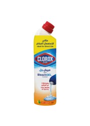 Clorox Bleach Gel And Cleaner Citrus Purity 750ml