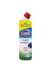 Clorox Bleach Gel And Cleaner Mint Freshness 750ml