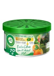 Air Wick Exotic Citrus Essential Oil Scented Gel Green 70g