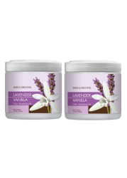 SMELLS BEGONE Air Freshener Odor Absorber Gel Made with Essential Oils Absorbs and Eliminates Odor in Pet Areas Bathrooms Cars Boats Lavender Vanilla Scent 15 Ounce 2 Pack