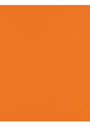 LUXPaper 85 x 11 Cardstock Letter Size Mandarin Orange 100lb Cover 183lb Text 50 Qty