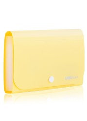 deli Expanding File Folder Subdivision Accordion File Folder Mini Organizer PP Wallet for CardsCouponsReceiptTax Item or Changes7x45 Inches12 Pockets with Tabs and Check CaseYellow