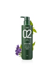 AMOS PROFESSIONALThe Green Tea Shampoo Refresh For Oily Scalp 176oz 500g AntiHair Loss Korean Hair Growth Shampoo for Cleanse Excess Sebum