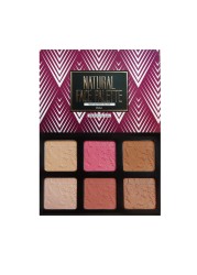 Ccolor Cosmetics Natural Face Palette in Glow Make Up Set Highlighter Palette Blush Palette Bronzer Palette Contour Kit With Shimmer Matte Shades for a Natural Look ParabenFree Make Up Kits