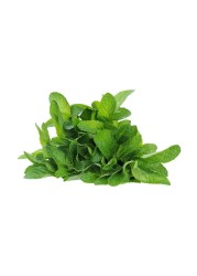 نعناع ممتاز (بودينا)