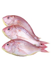 سمك سلطان إبراهيم الطازج (عمان)