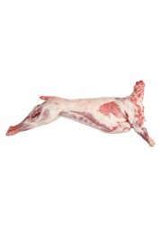 Kazakhstani Lamb Fat Tail Carcass