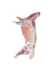 Kazakhstani Lamb Carcass
