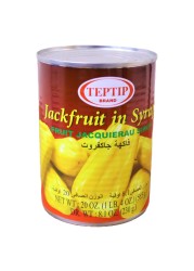 Teptip Jackfruit in Syrup, 565g