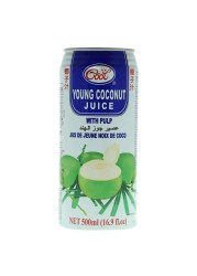 Ice Cool Young Coconut Juice With Pulp 500ml