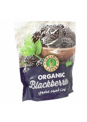 Organic Larder Frozen Blackberries 300g
