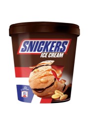 Snickers Ice Cream Tub 450ml