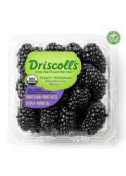Driscoll&#39;s Organic Blackberries 170g