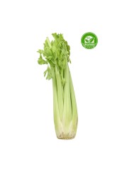 أورغانيك كرفس 500 غرام