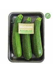 رايب أورغانيك كوسا خضراء 550 غرام