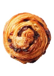 Raisin Roll 1 Piece