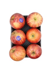 Apple Royal Gala 6-Piece Pack