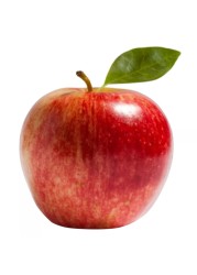 Royal Gala Apple Medium