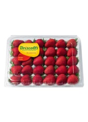 Driscoll&#39;s Strawberries 850g