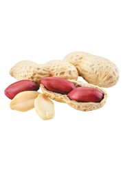Peanut
