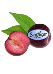 Sanlucar Plum