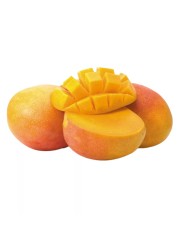  Mango R2E2