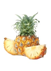 Baby Pineapple