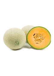 Rock Melon