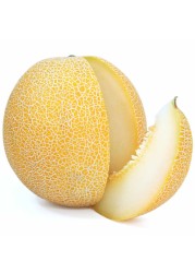 Sweet round Melon