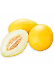 Yellow Melon