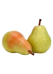 Coscia Pear