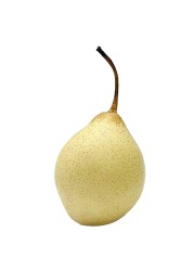 Ya Pear